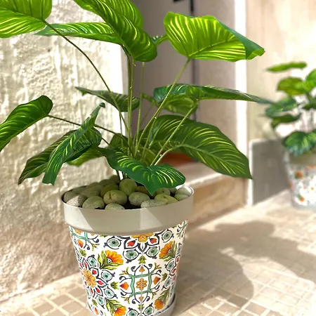 Vendégház Il Cortile